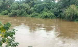 Người mẹ nghi bị trầm cảm thả con mới sinh trôi sông