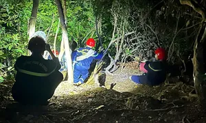 Giải cứu hai nữ du khách đi lạc trong rừng Sơn Trà